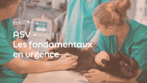 ASV – Les essentiels en urgences