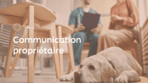 H4V Communication propriétaire